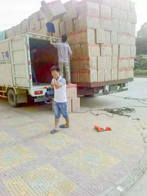 高州市環(huán)華裝卸服務(wù)部 以專業(yè)搬運裝卸與一流打包服務(wù)，樹立行業(yè)標(biāo)桿